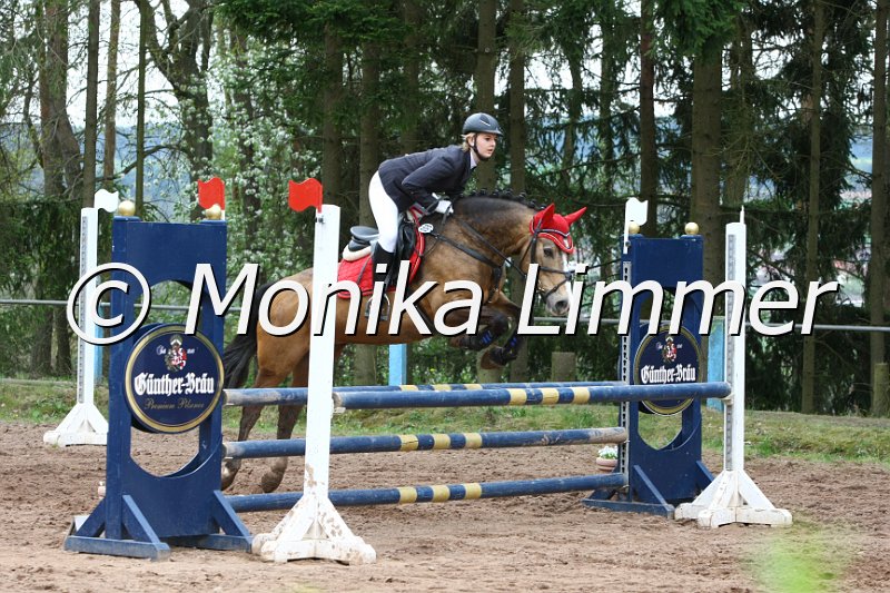 204M9245_Mini Maus_Stil Ax.JPG